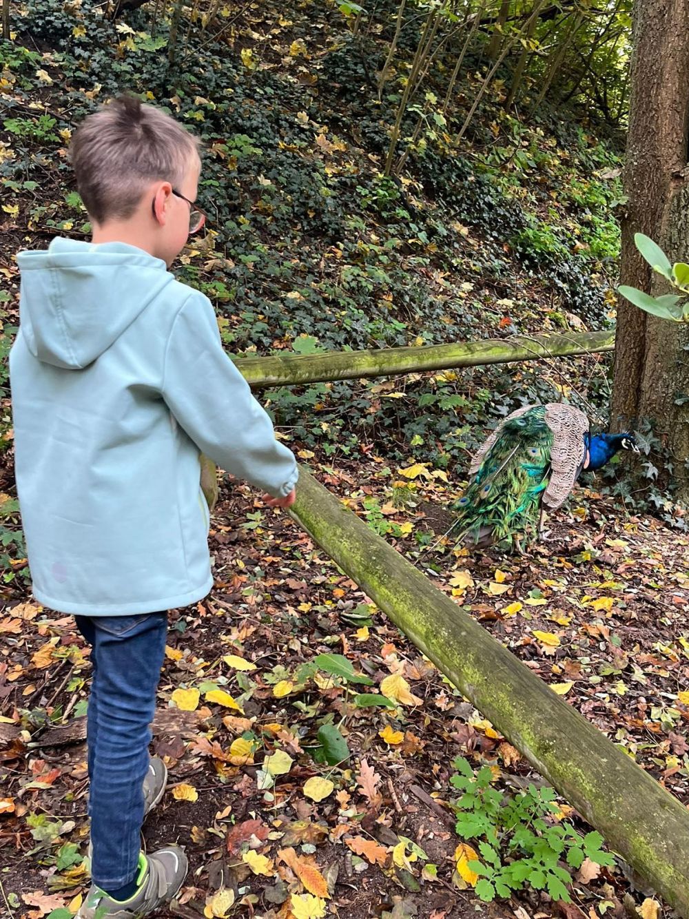 Auf dem Bild ist Louis im Wald zu sehen.