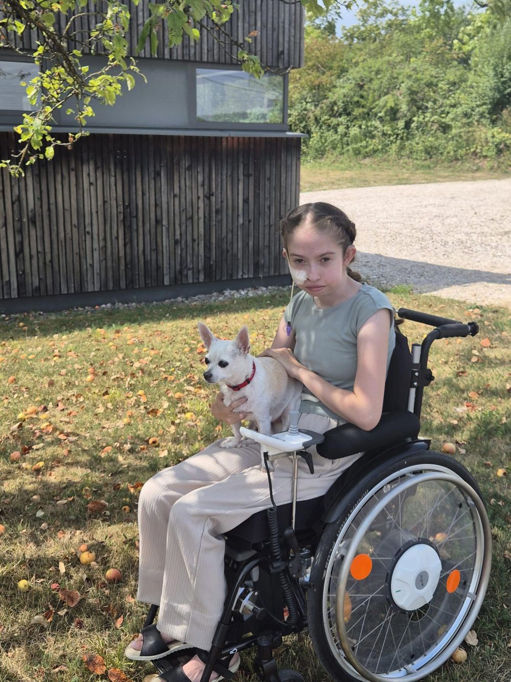 Jana und Hund im Rollstuhl