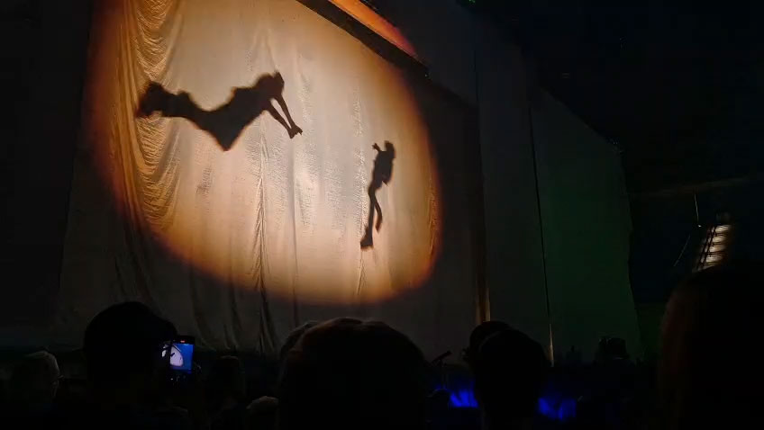 die Show